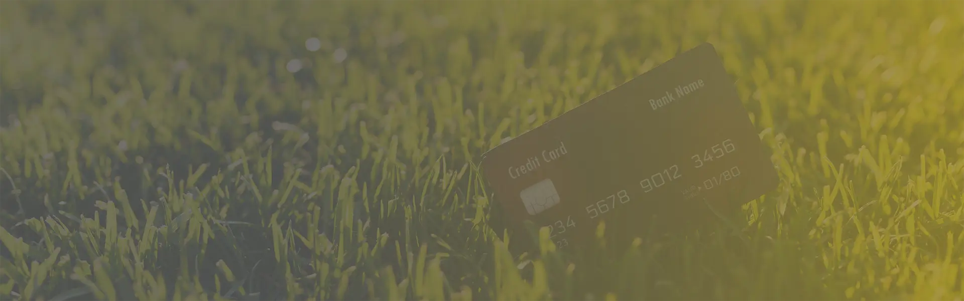 Close up of a credit bank black card on the grass.
